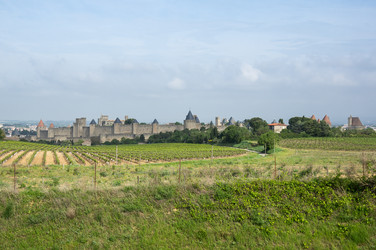 Similar image 22299369