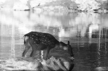 Similar image 22294151