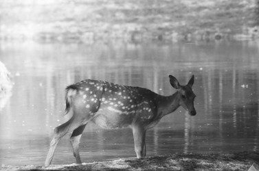 Similar image 22294152