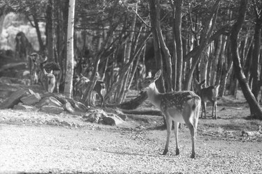 Similar image 22294153