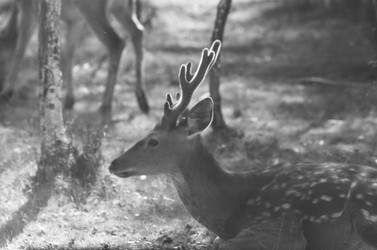 Similar image 22294154