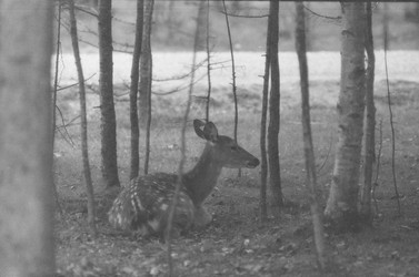 Similar image 22294159