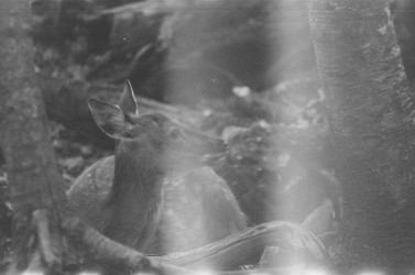 Similar image 22294160