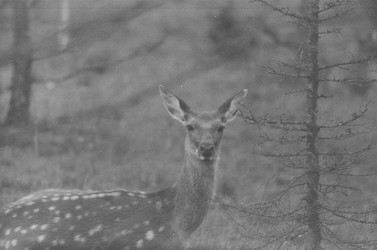 Similar image 22294161