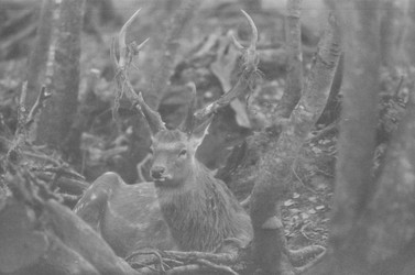 Similar image 22294162