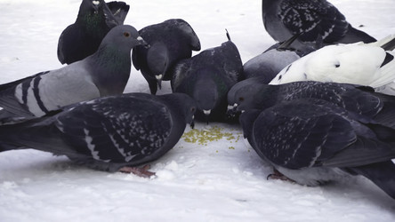 Similar image 22293883