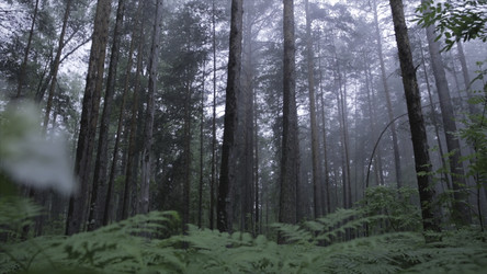 Similar image 22293886