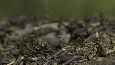 Similar image 22293892