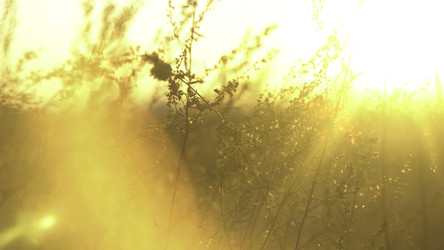 Similar image 22294067