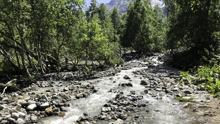 Similar image 22296617