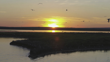 Similar image 22315924