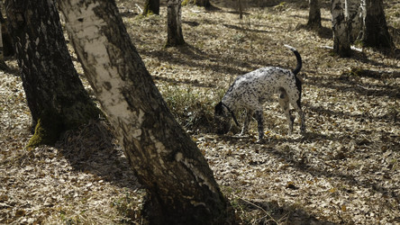 Similar image 22316184