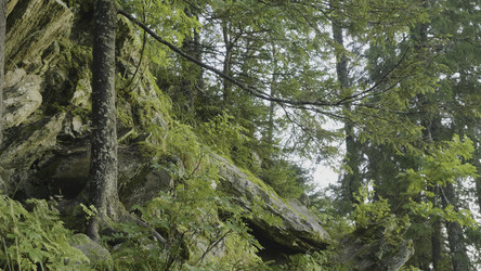 Similar image 22328136