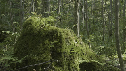 Similar image 22328137