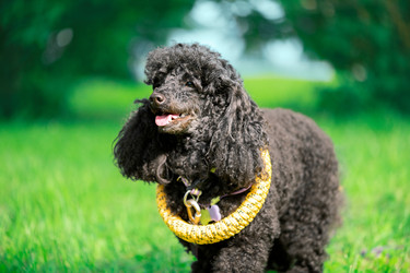 Similar image 22290032