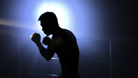 Similar image 22330066