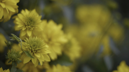 Similar image 22330417