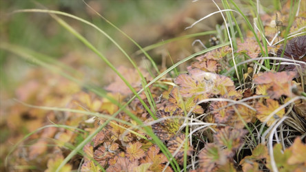 Similar image 22330419