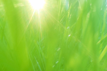 Similar image 22316516