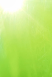 Similar image 22316517