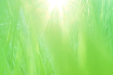 Similar image 22316518