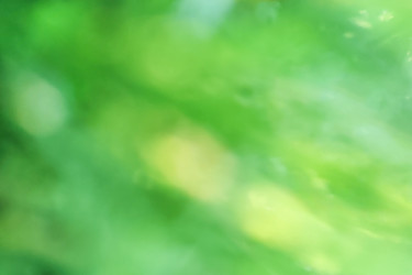 Similar image 22316520