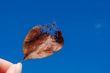 Similar image 22290033