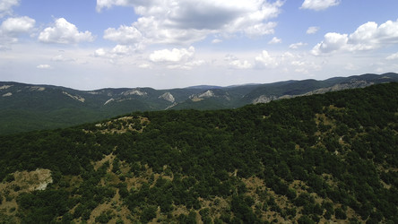 Similar image 22329546