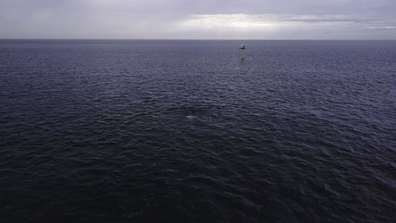 Similar image 22330067