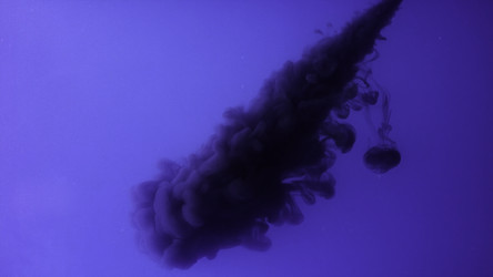 Similar image 22330069