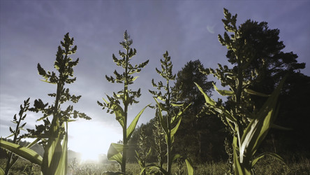 Similar image 22330423