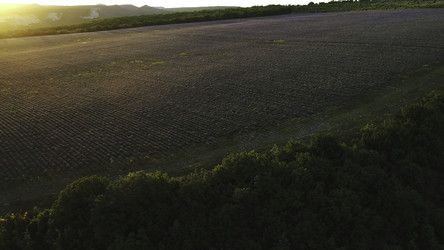 Similar image 22330425