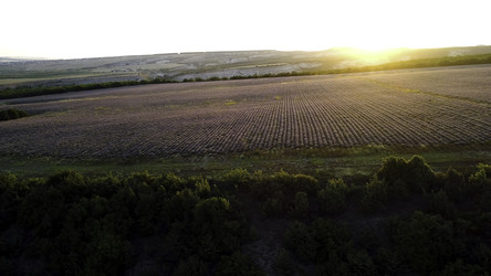 Similar image 22293905