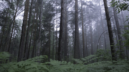 Similar image 22293910