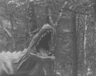 Similar image 22294163