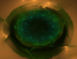 Similar image 22295883