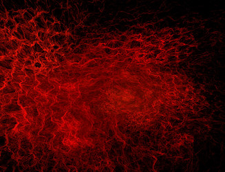 Similar image 22295895