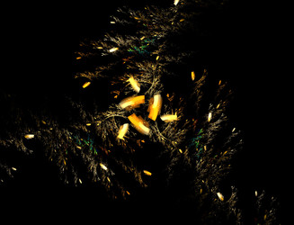 Similar image 22295896