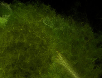 Similar image 22296101