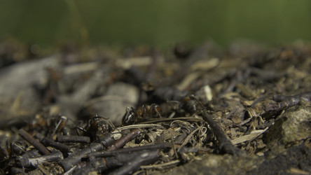 Similar image 22331228