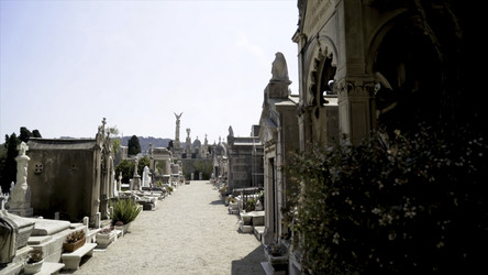 Similar image 22316185