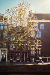 Similar image 22312869