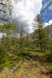 Similar image 22298338