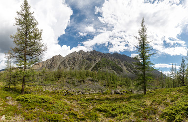 Similar image 22298454