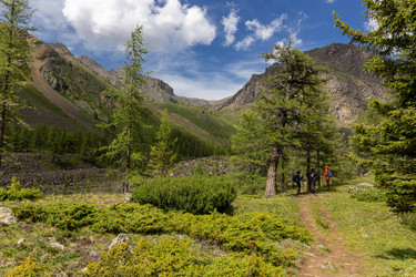 Similar image 22298456