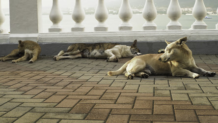 Similar image 22329212