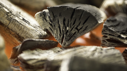 Similar image 22329557