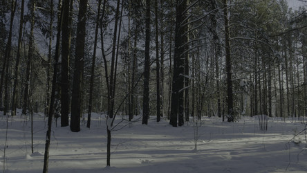 Similar image 22330443