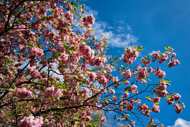 Similar image 22302017