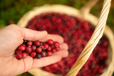 Similar image 22292848